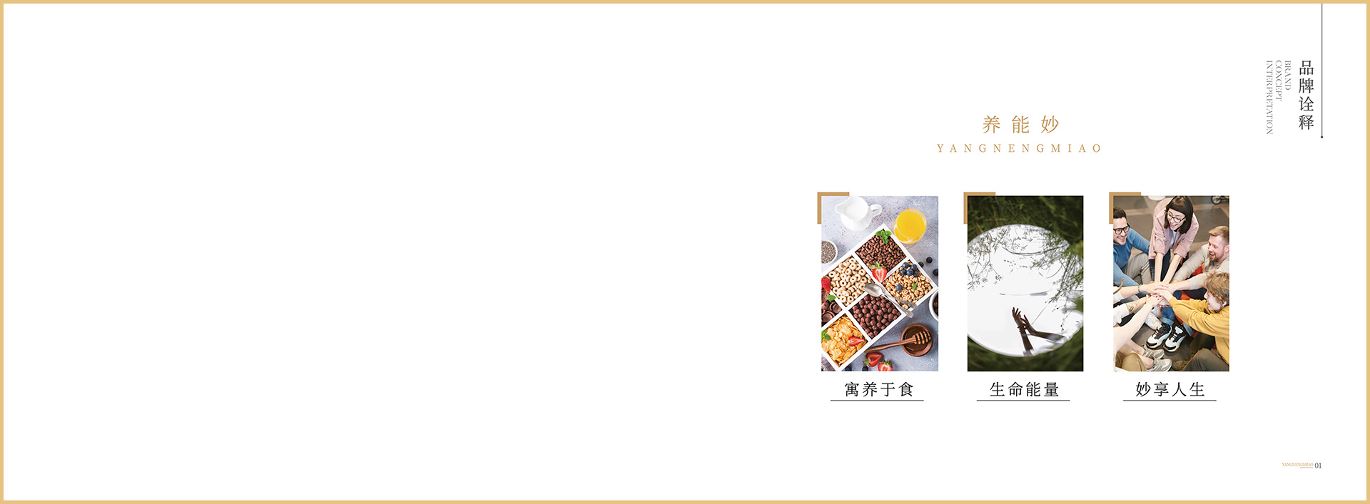 品牌画册1011_01.jpg